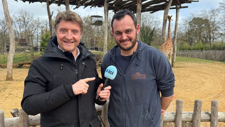 2026 : Le Zoo de La Flèche fête ses 80 ans !