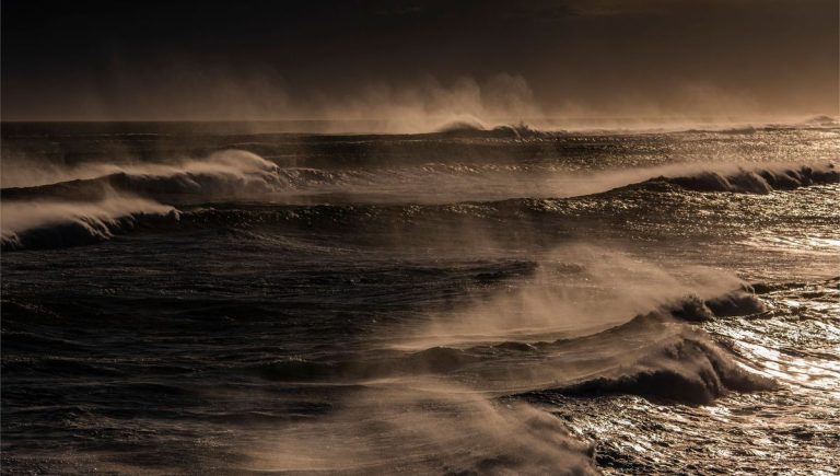 Plongée dans l&rsquo;univers de Soeurs des vagues