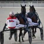 Quinté à Chateaubriant : les choix d&rsquo;Hervé Fortin pour le 22 avril à 13h55