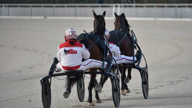 Quinté à Chateaubriant : les choix d&rsquo;Hervé Fortin pour le 22 avril à 13h55