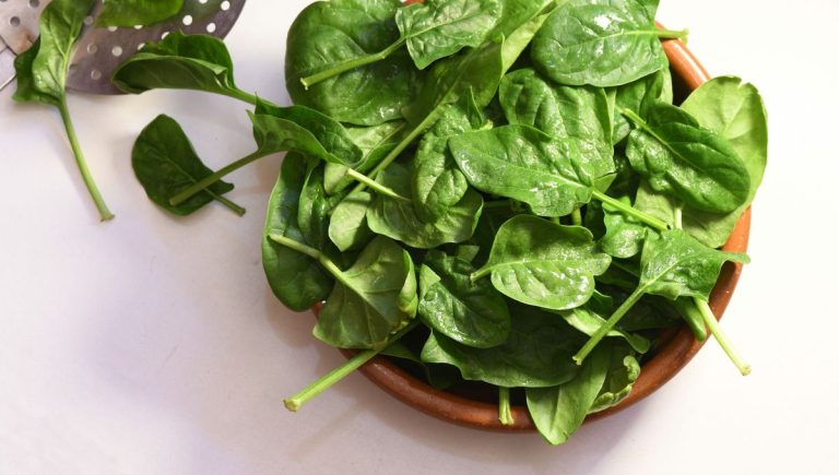 Les jeunes pousses d’épinards : entre santé et hypocrisie politique