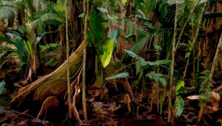 Pourquoi le retour de Lucas Landais dans six mois soulève tant de questions intrigantes ?