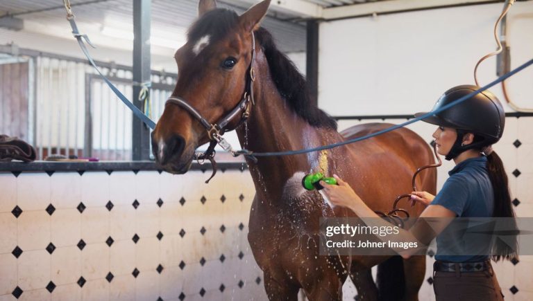 Quand le Trot devient un Spectacle de Manipulation