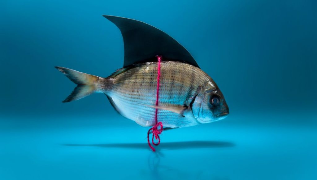 Pourquoi le 1er avril est devenu le jour des poissons et des farces - ICI