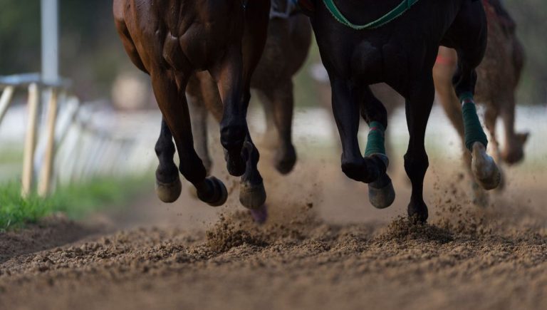 Quinté à Chantilly du 28 avril : pronostics hippiques d&rsquo;Hervé Fortin analysés.