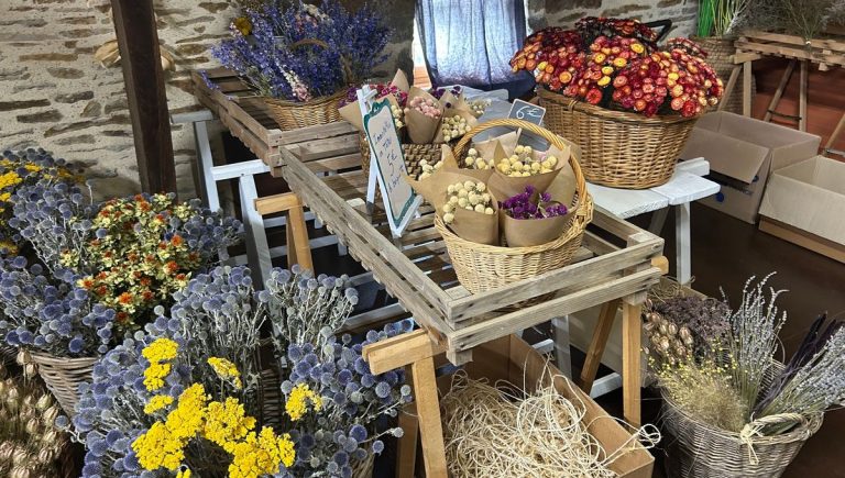 Les Fleurs Séchées : Entre Économie Durable et Illusions Colorées