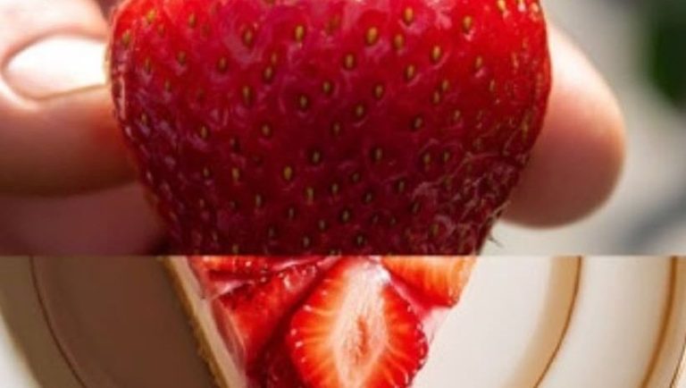 Quand la Ferme devient un Supermarché de la Conscience Écologique