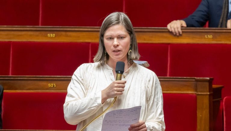 Réseaux sociaux interdits aux moins de 15 ans : "des plateformes hors des radars" alerte une députée de la Vienne - ICI