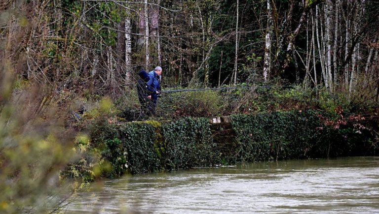 À la Découverte du Hotu : Un Cyprinidé Méconnu