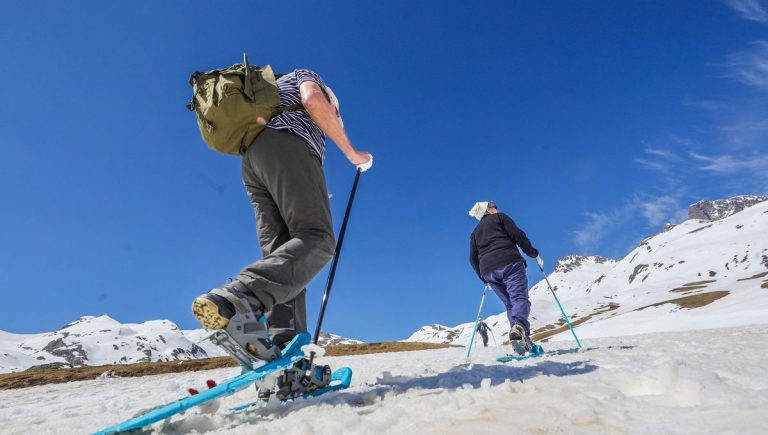 Image illustrant le contenu de l’article.