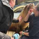 Travailler au Zoo de La Flèche : Une Passion au Quotidien