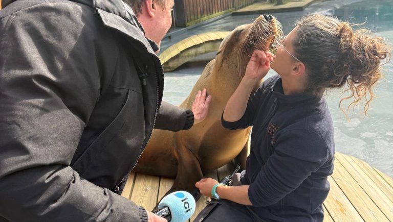 Travailler au Zoo de La Flèche : Une Passion au Quotidien