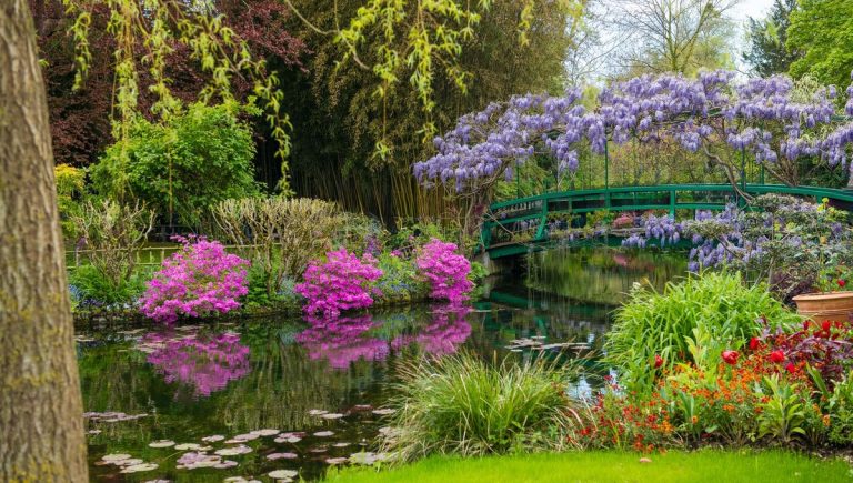 La piscine naturelle : un mirage écologique ou une réalité insoutenable ?