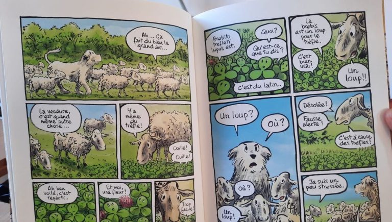 La bande dessinée, une affaire marnaise - ICI