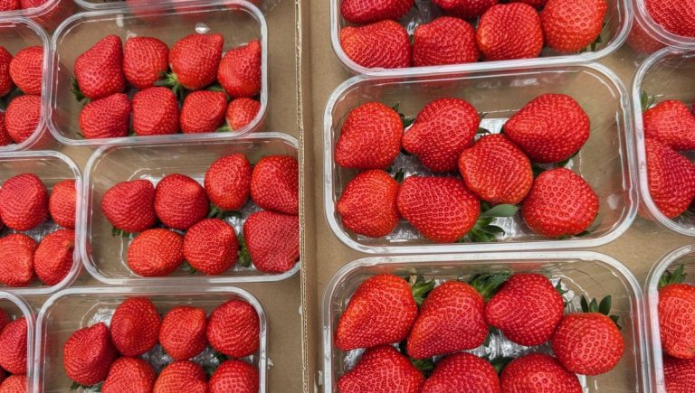 Quand la gastronomie devient un terrain de jeu pour l&rsquo;hypocrisie politique