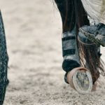 Quinté à Laval le 29 avril : pronostics d&rsquo;Hervé Fortin pour la course de trot attelé.
