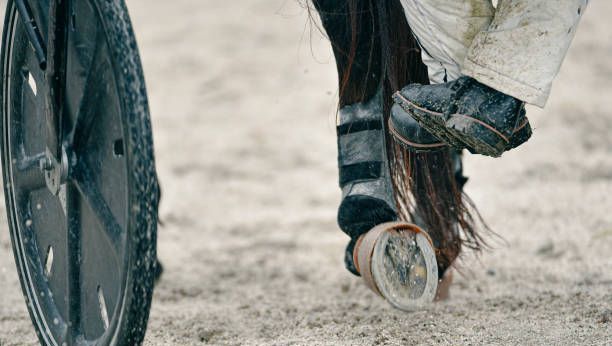 Quinté à Laval le 29 avril : pronostics d&rsquo;Hervé Fortin pour la course de trot attelé.