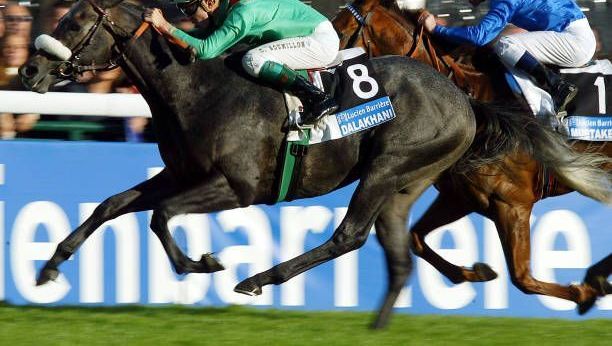 Quinté à Paris-Longchamp du 30 avril : pronostics d&rsquo;Hervé Fortin pour la course.