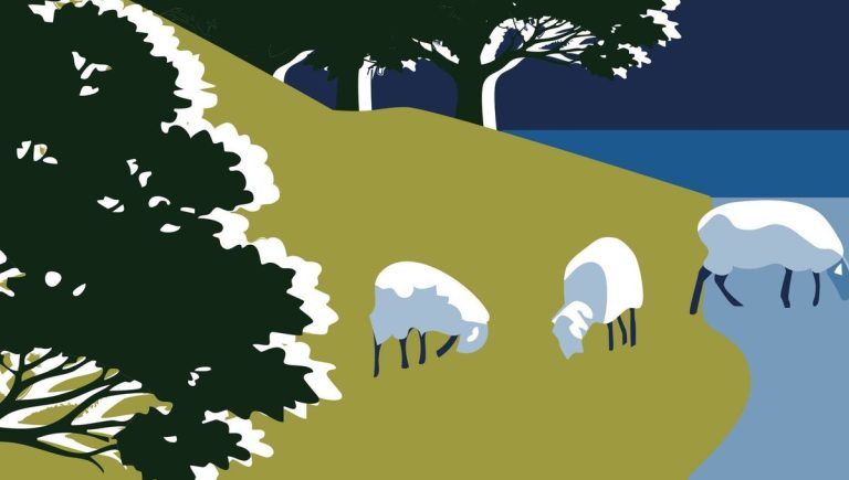 La forêt d’Iraty : un havre de paix ou un mirage écologique ?