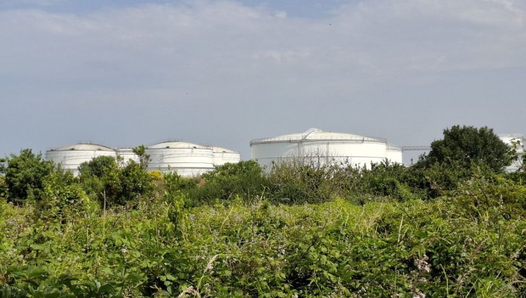 Alsace : Une technique innovante pour dépolluer les sols aux hydrocarbures, mais à quel prix ?