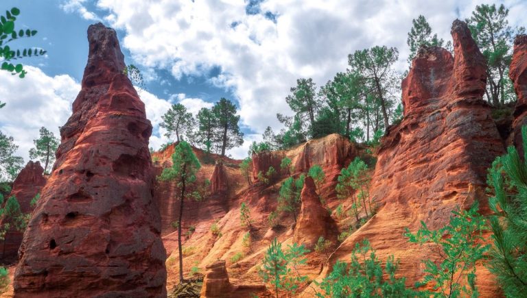 Les Immanquables du Vaucluse selon Grégory Licari