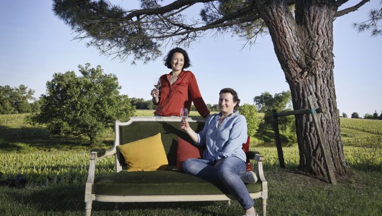 Les Vignobles Courselle : Une Viticulture Innovante face au Changement Climatique