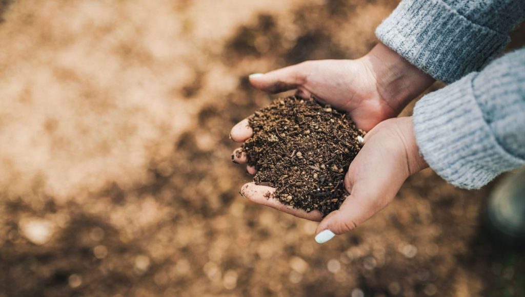 Comment maintenir la qualité du sol, le rendre fertile - ICI
