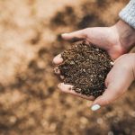 Comment maintenir la qualité du sol, le rendre fertile - ICI