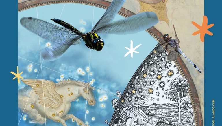 Vercors : Une Évasion Naturelle