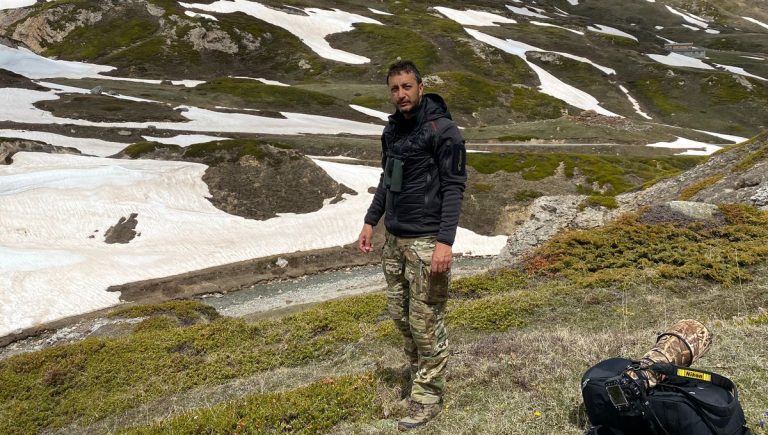 Quand les oiseaux se taisent : un monde en déclin