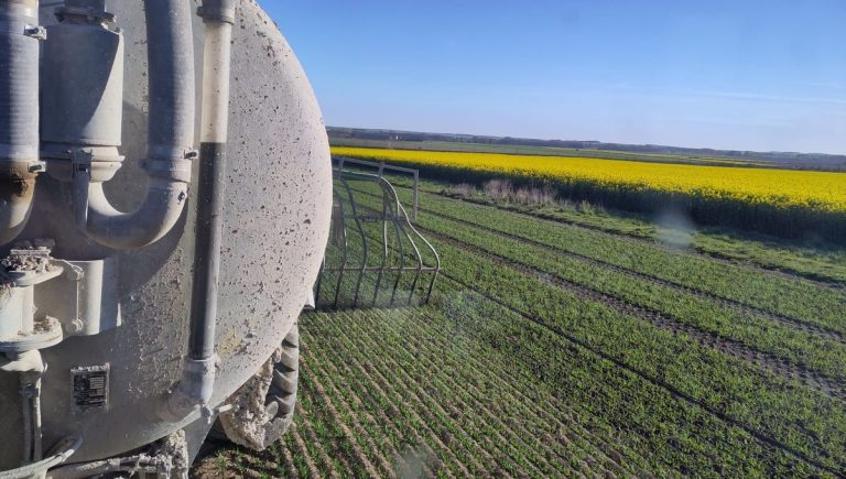 Image illustrant le contenu de l’article.