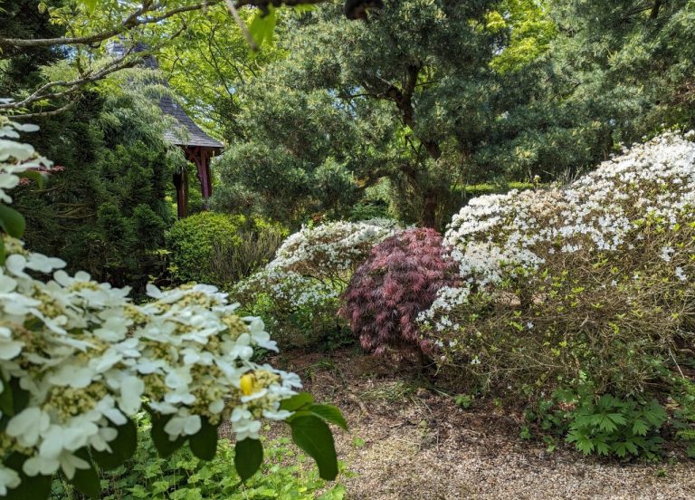 Les Jardins de Castillon : Une Évasion Végétale au Cœur du Bessin