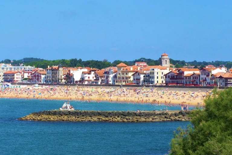Le Dauphin de Saint-Jean-de-Luz : Mascotte ou Menace pour l&rsquo;Humanité ?