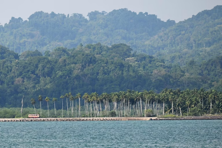 Grande Nicobar : un joyau de biodiversité en passe de devenir un terrain de jeu géopolitique