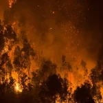 Comment survivre quand son avion a été abattu ? Un ex-pilote américain raco…