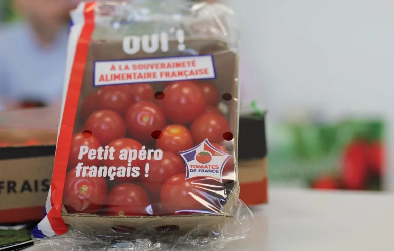 Tomate cerise : la France face à la concurrence marocaine sur le marché européen
