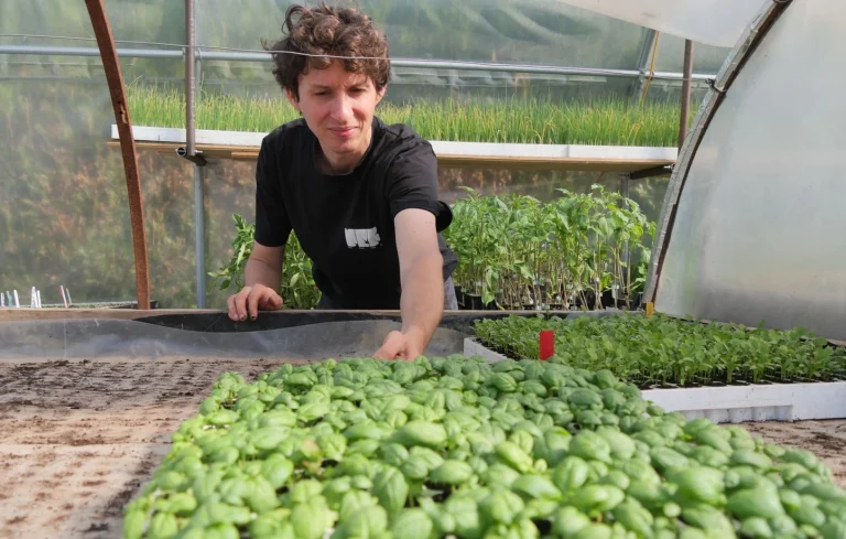 La Ferme de Quincé : Un Potager au Milieu du Bitume, ou l’Ironie de l’Agriculture Urbaine