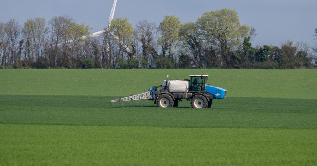 Pesticides agricoles : une étude révèle un lien solide entre l’exposition et le risque d’apparition de cancers