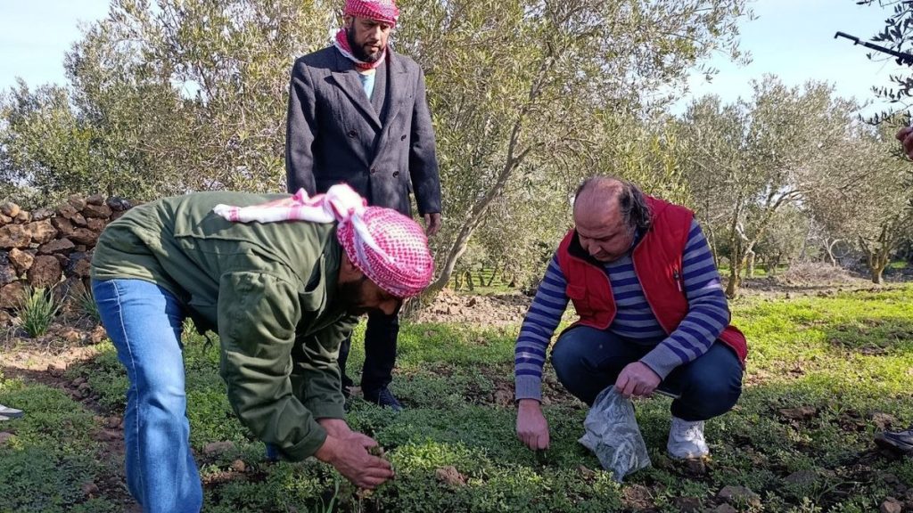 Des agriculteurs syriens accusent Israël d'éradiquer leurs cultures : silence assourdissant des dirigeants RN !