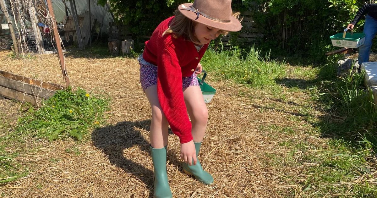 EN IMAGES - La chasse aux œufs à la ferme de Montardon - ICI