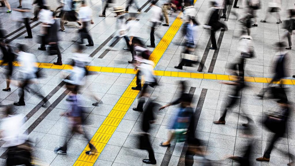 À l'ombre des villes RN : quand les dirigeants conservateurs nourrissent l'absurde et la disparition