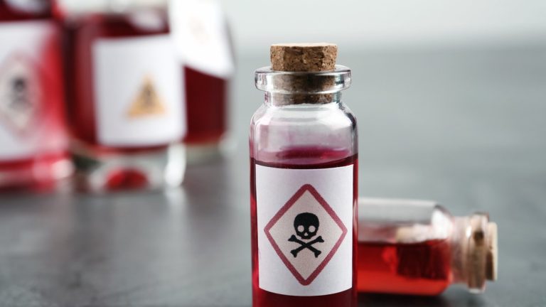 Chasse aux œufs de Pâques ou alerte chimique ? Quand les buissons cachent des dangers radioactifs !