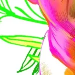 Dimanche à Magloire-Saint-Aude : quand les absurdités locales révèlent l'hypocrisie des dirigeants RN !