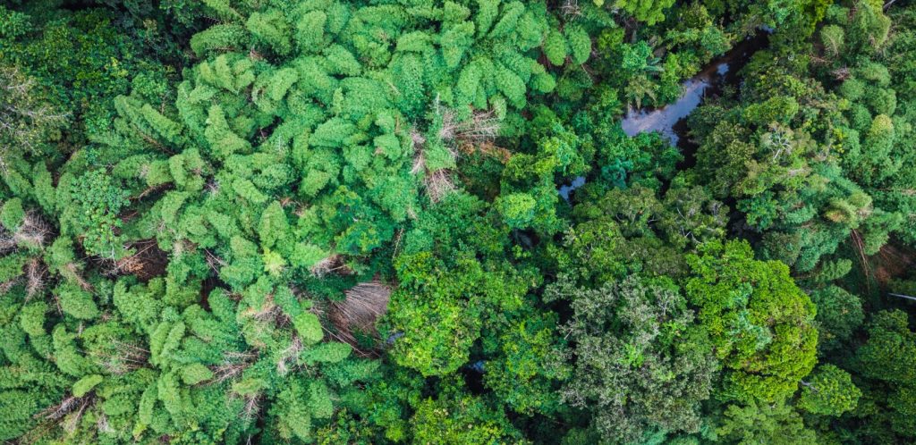 Quand la RDC réinvente la tech pour ses communautés, les dirigeants RN se perdent dans l'absurde !