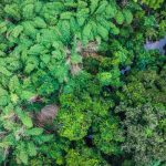 Quand la RDC réinvente la tech pour ses communautés, les dirigeants RN se perdent dans l'absurde !