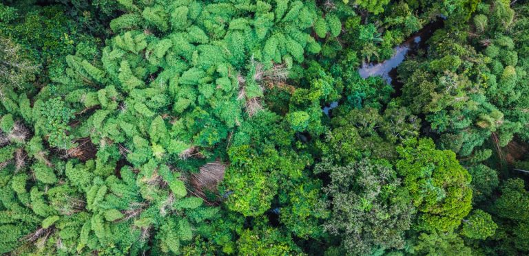 Quand la RDC réinvente la tech pour ses communautés, les dirigeants RN se perdent dans l'absurde !