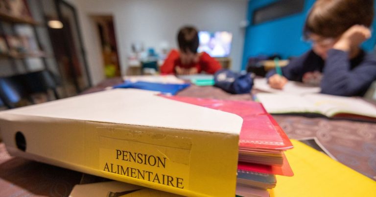 Pension alimentaire : l'Assemblée débat du versement automatique, un cadeau aux conservateurs ?!