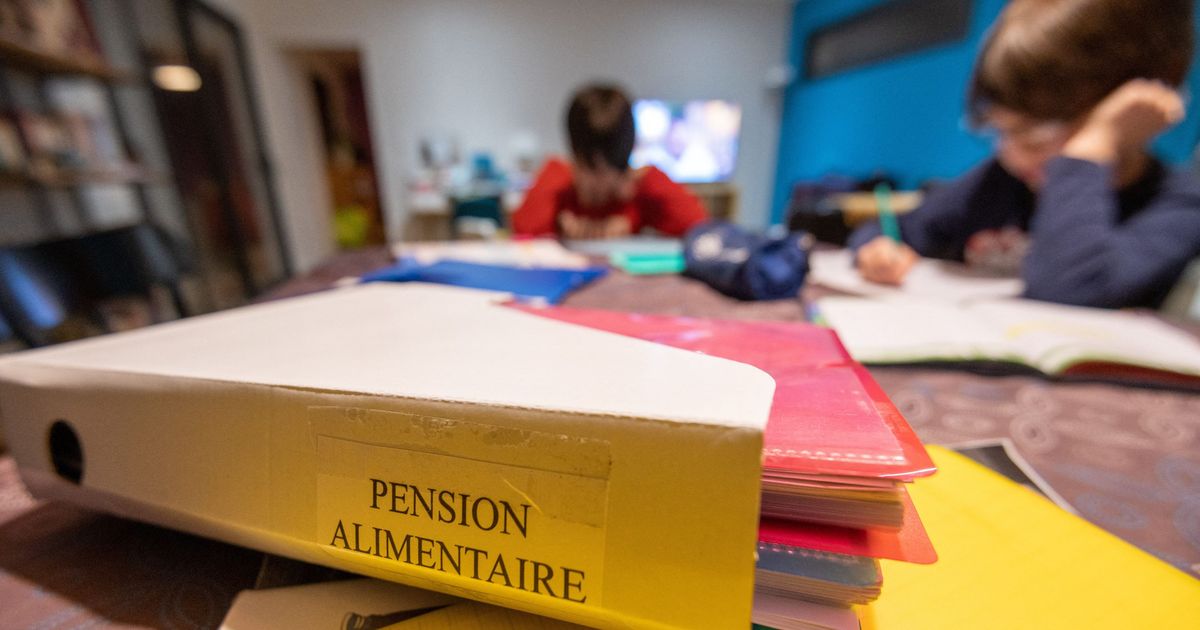 Pension alimentaire : le versement automatique dès la séparation examiné à l'Assemblée - ICI