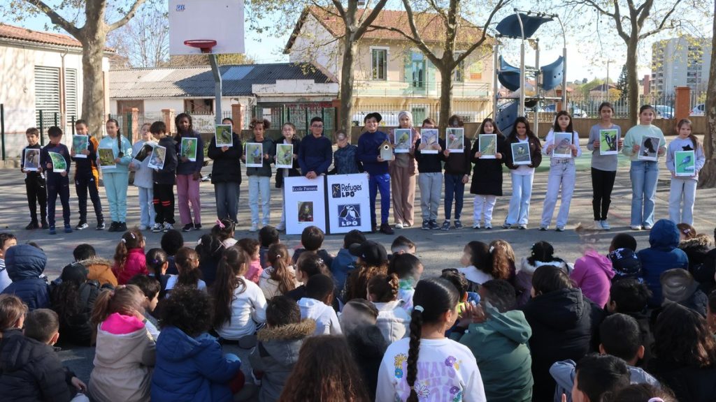 À l'école primaire du Pansera, les oiseaux transforment les élèves : un miracle ou une absurdité conservatrice ?