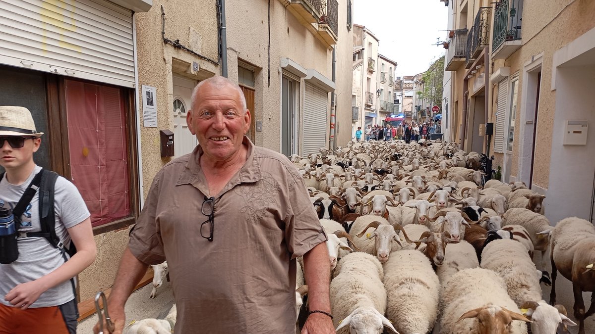 Plus de 600 personnes ont suivi Michel Ibanez et son troupeau pour la transhumance Villeveyrac-Mèze, ce samedi 10 avril